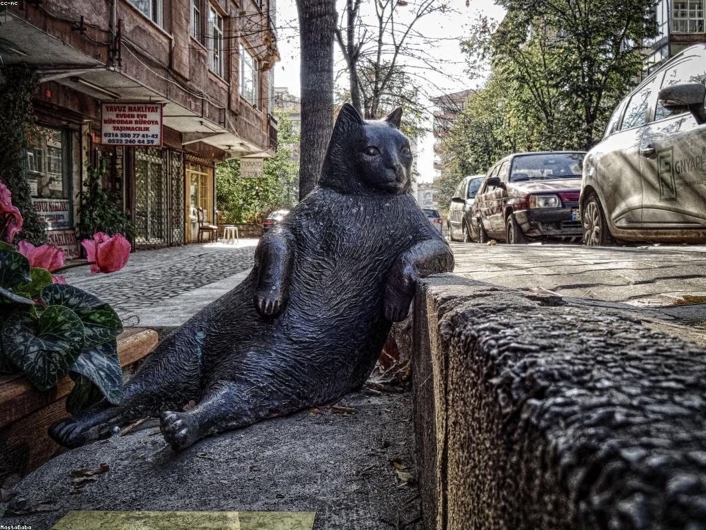 ข่าวสารและอัปเดตเกี่ยวกับ LV177